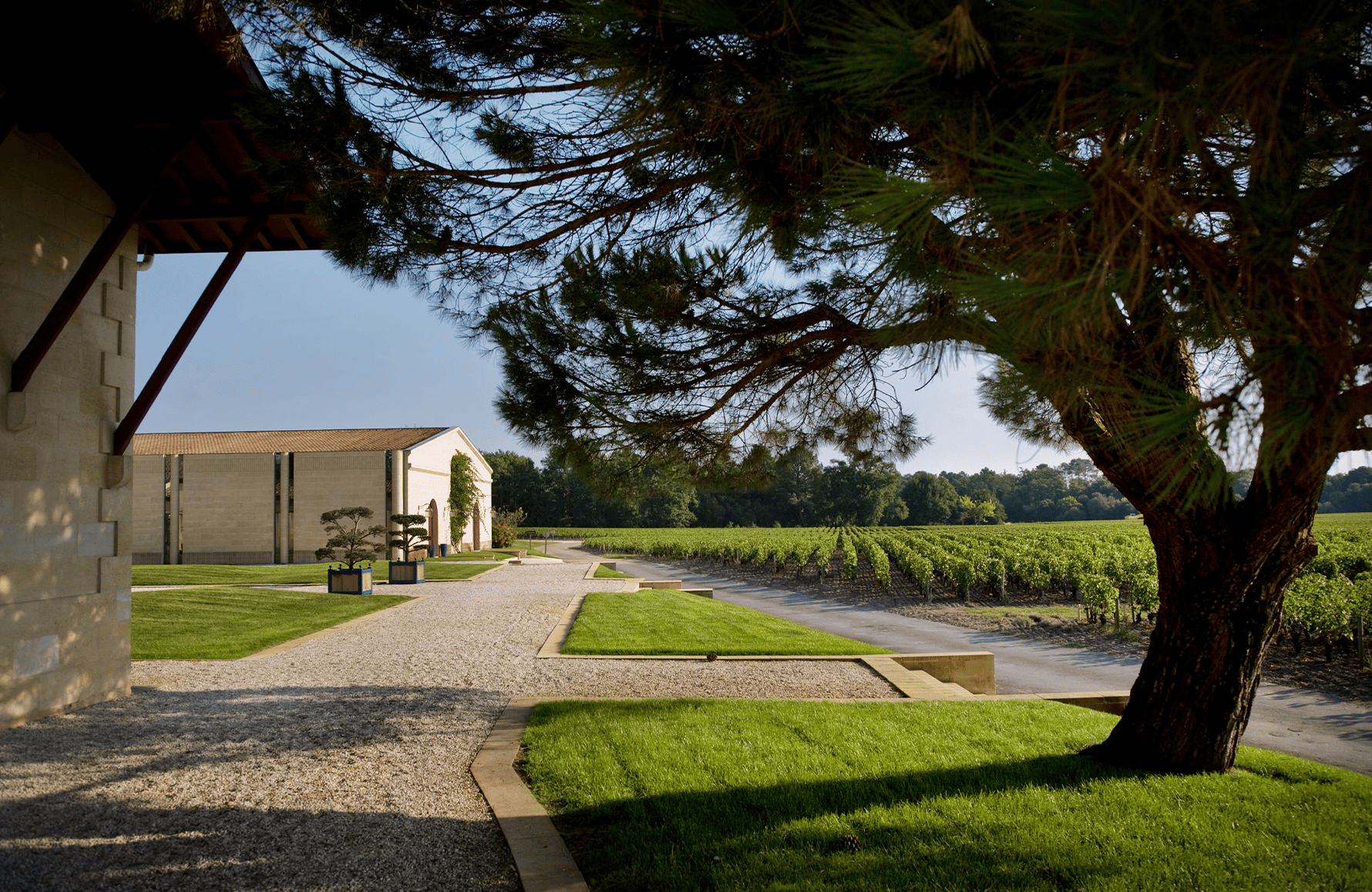 Domaine de Chevalier