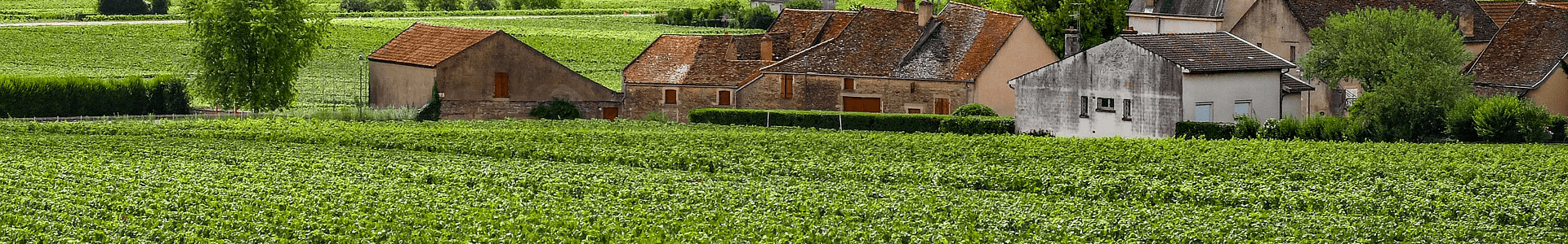 Domaine Geantet-Pansiot