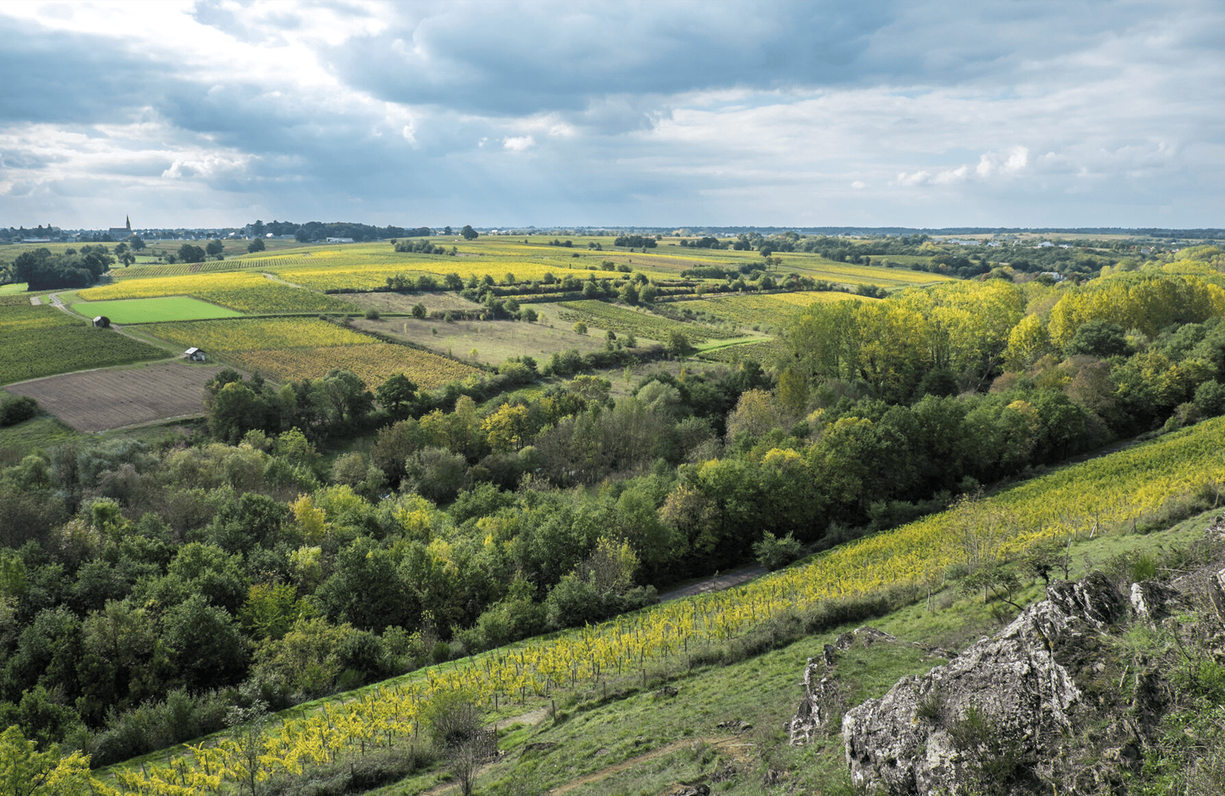 Domaine Belargus