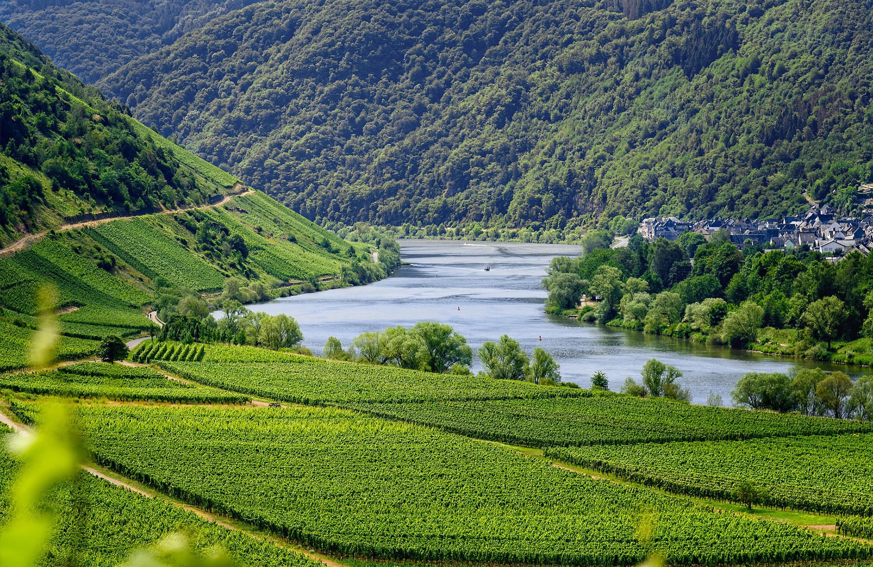 die Geschichte der Peyre Rose Estate