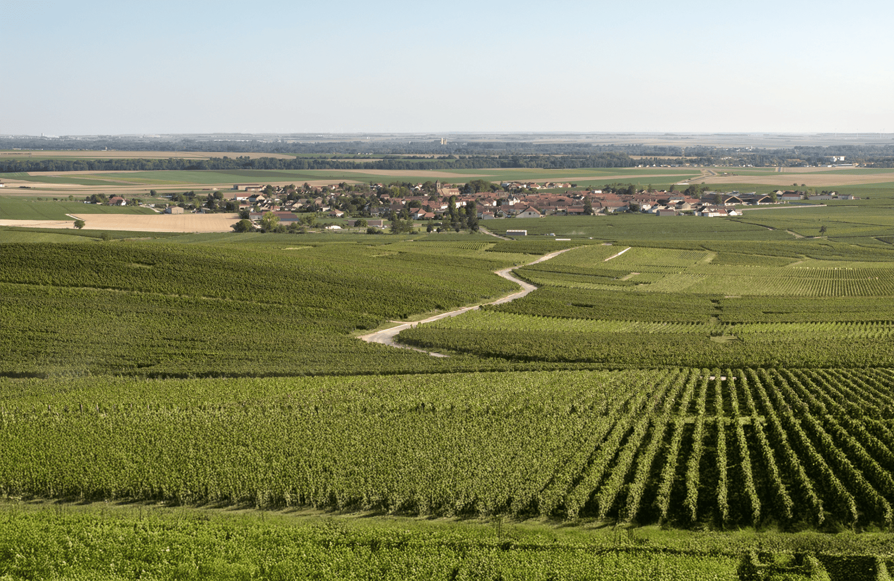 die Geschichte der Champagner Charles Heidsieck