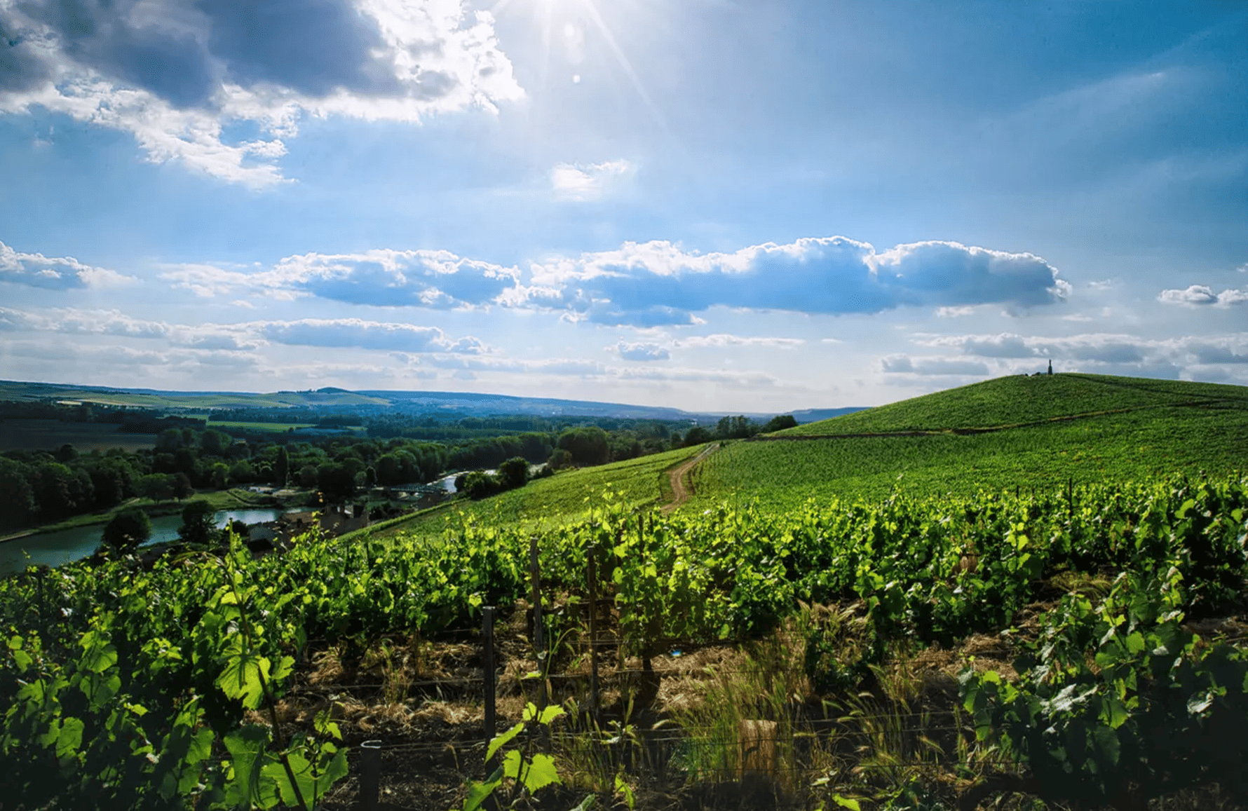 die Geschichte der Champagne Philipponnat