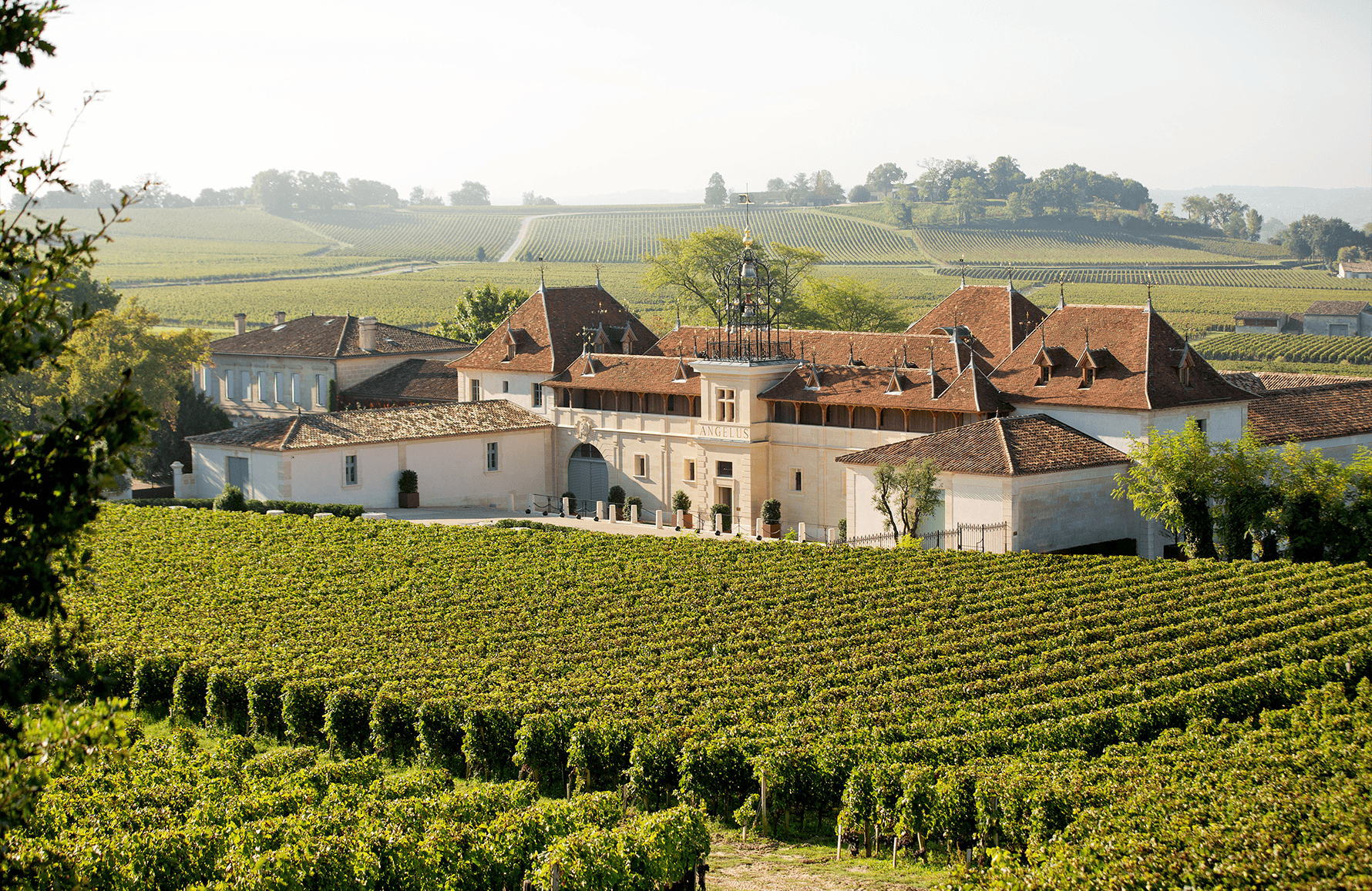 die Geschichte der Angelus Castle