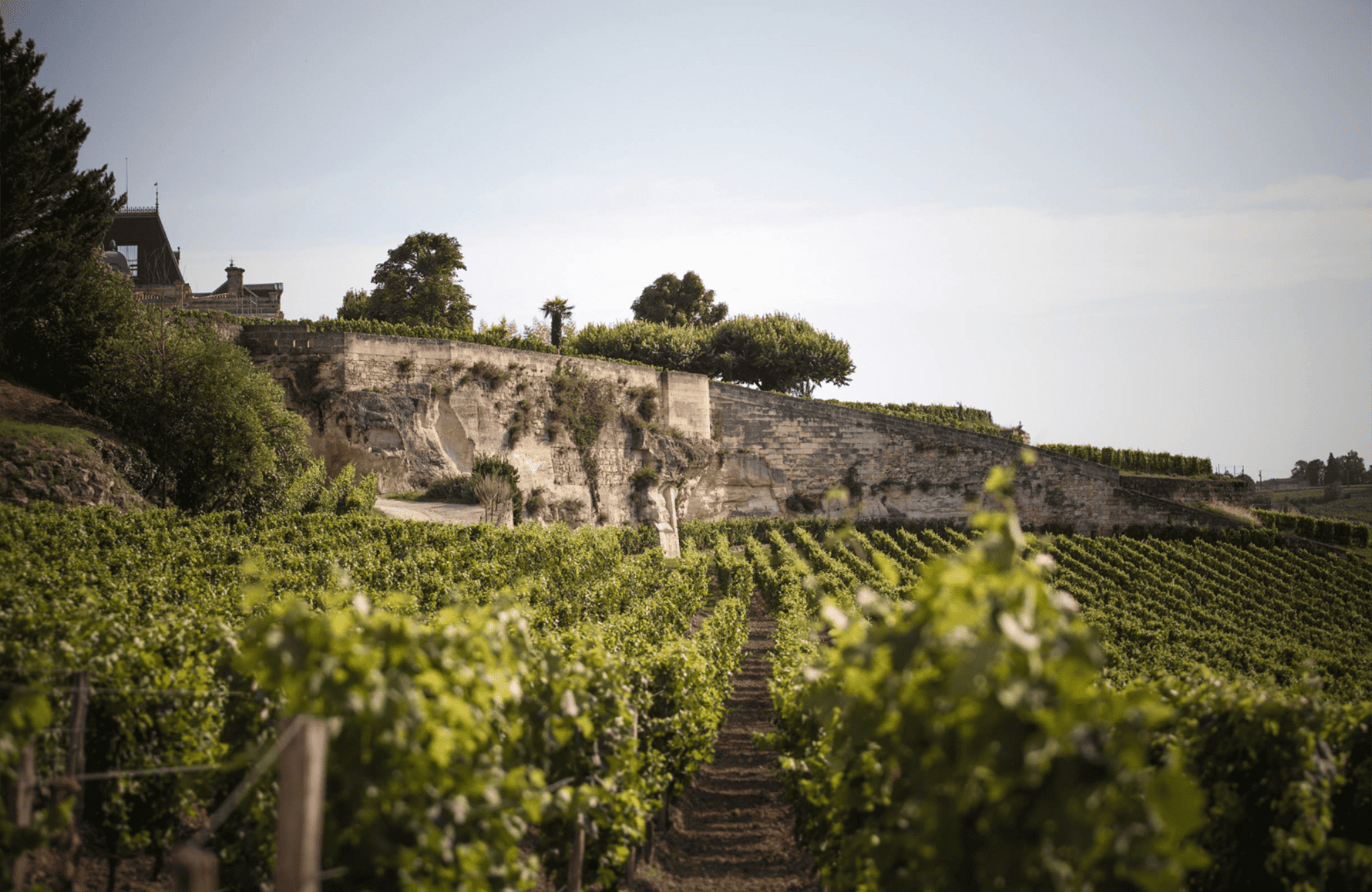 die Geschichte der Château Ausone