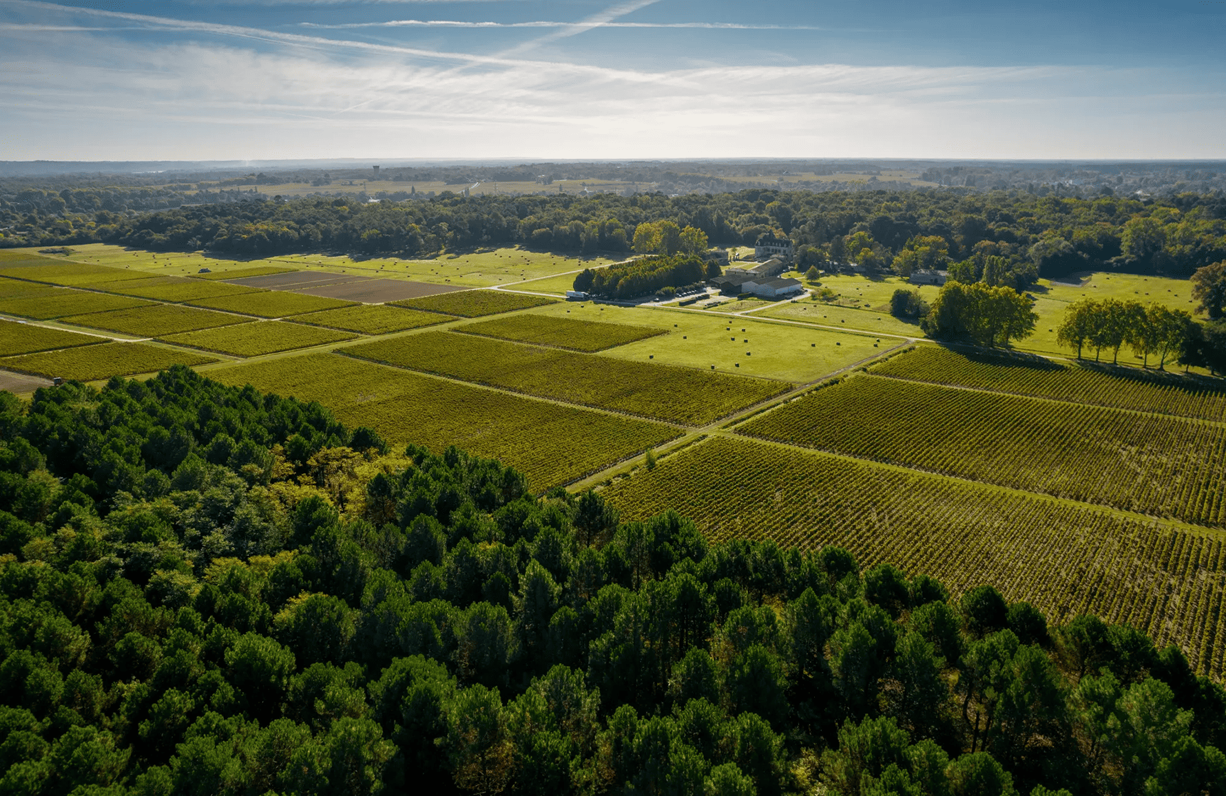 die Geschichte der Château Olivier