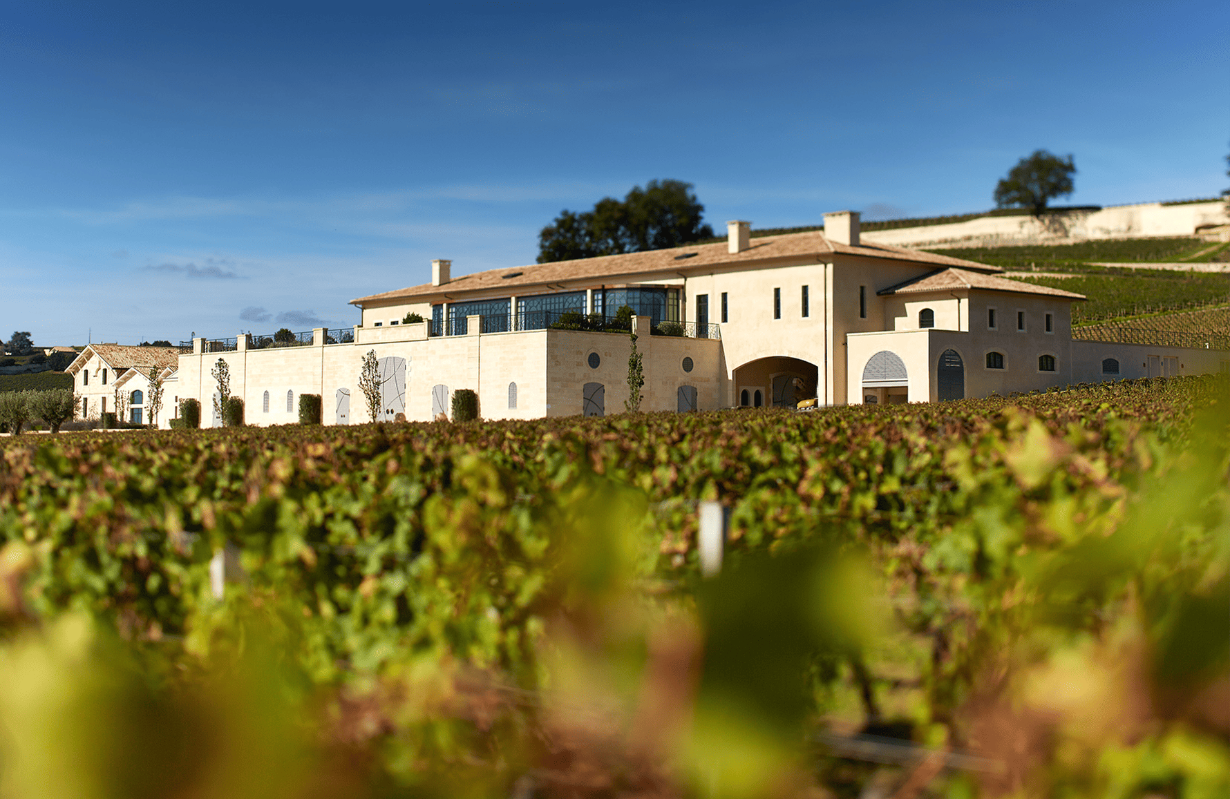 die Geschichte der Schloss Pavie Decesse