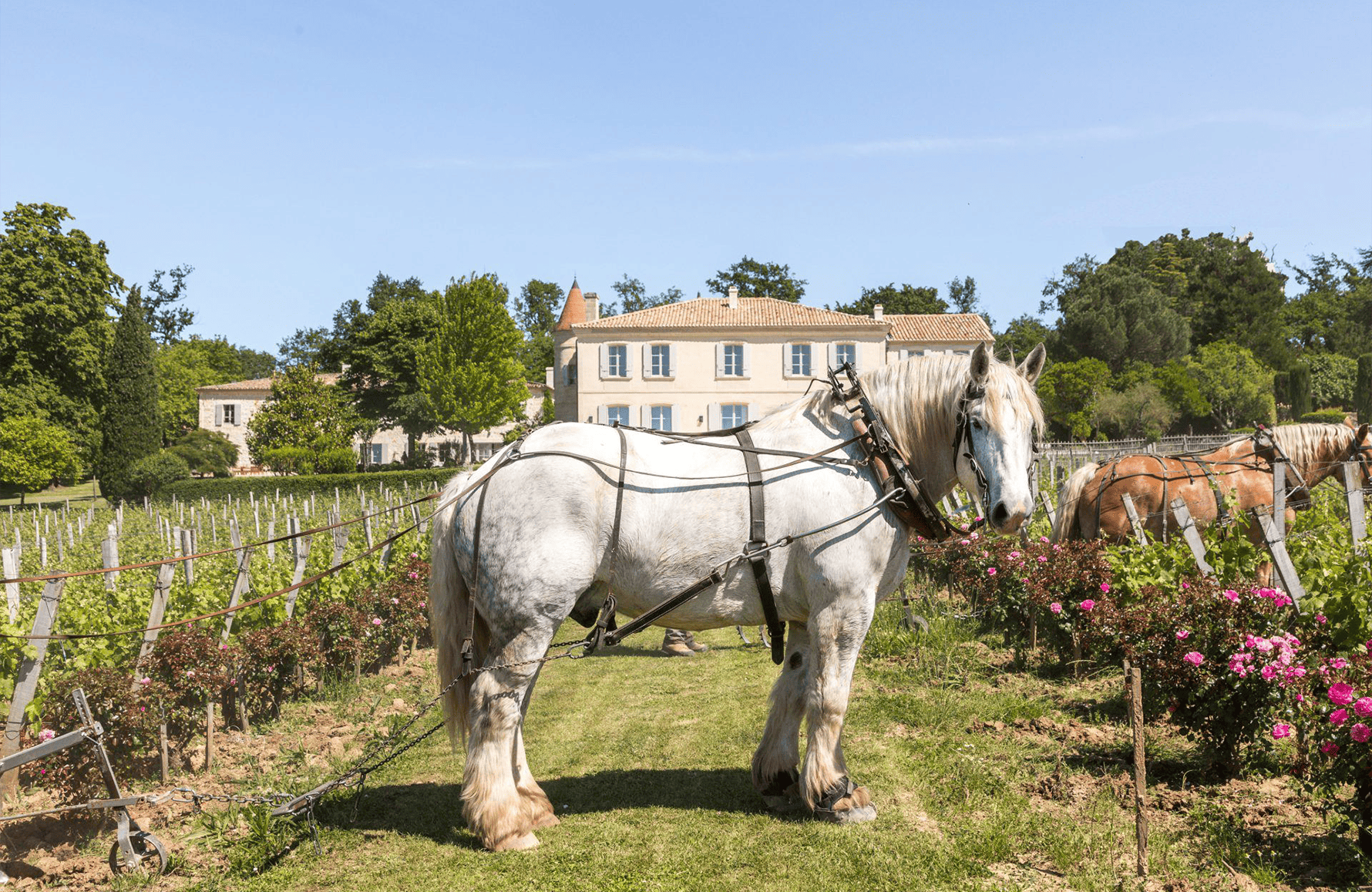 die Geschichte der Château Troplong Mondot