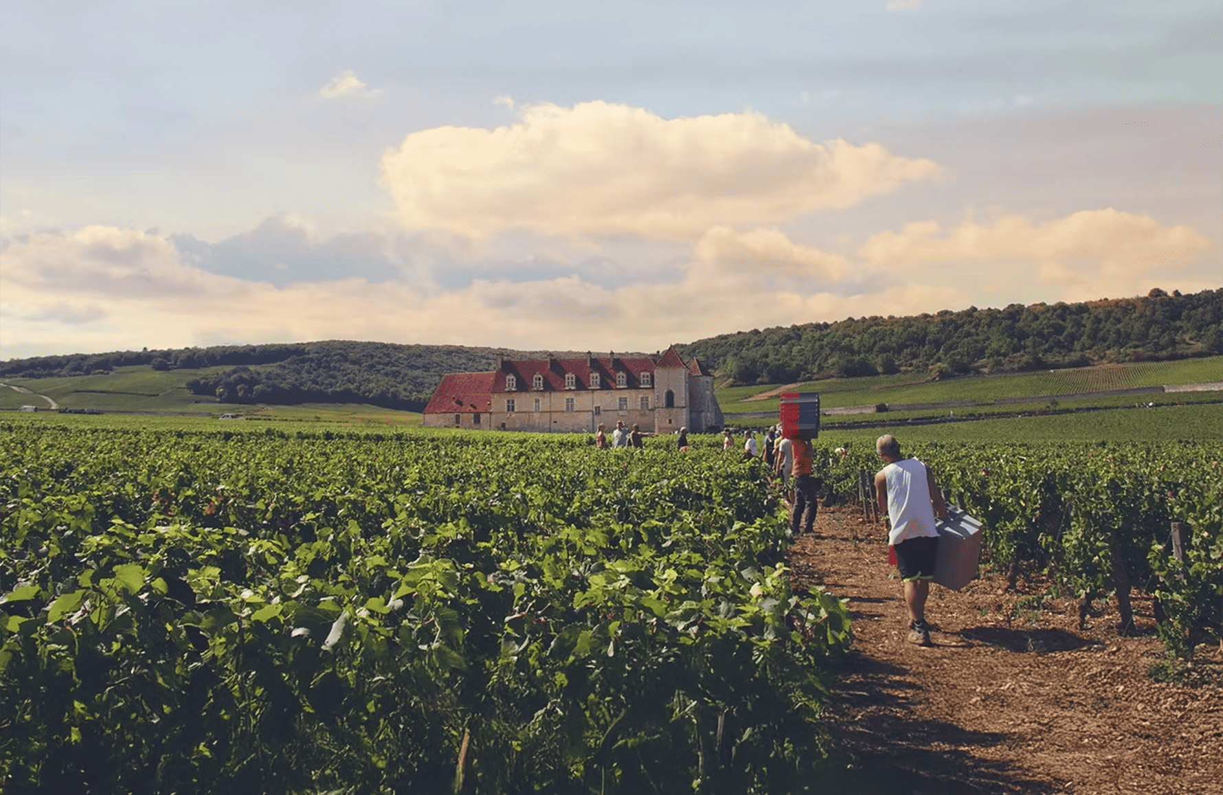 die Geschichte der Weingut Bertagna