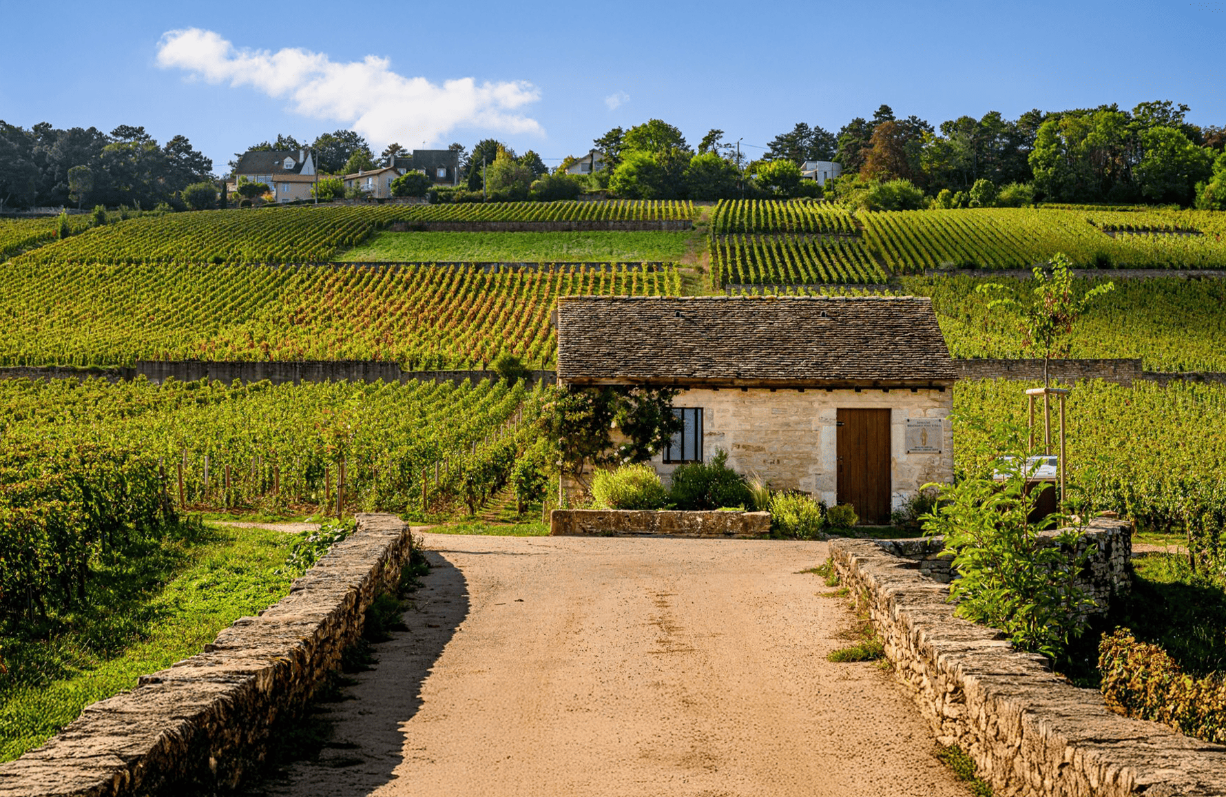 die Geschichte der Bouchard Vater-Sohn-Anwesen
