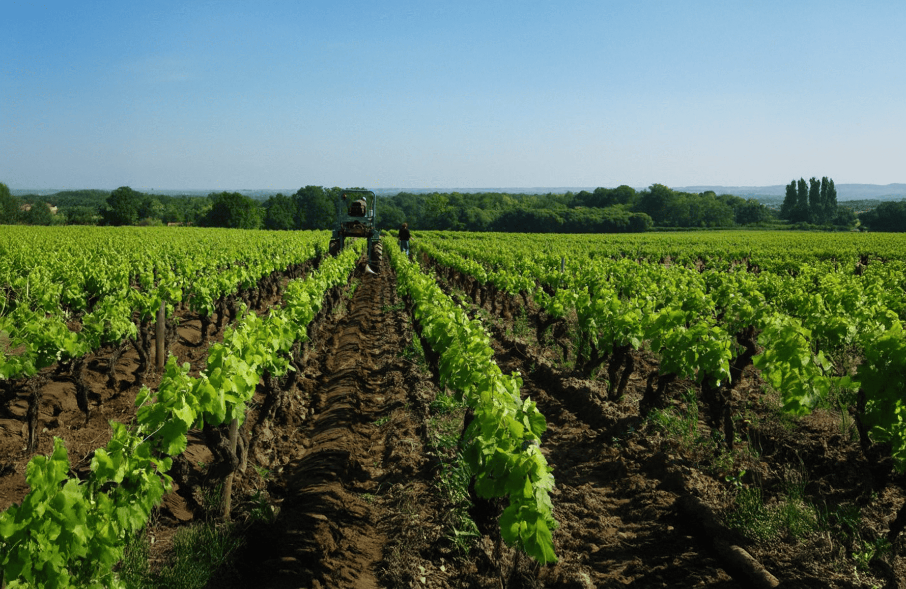 l’histoire du Domaine Jo Landron