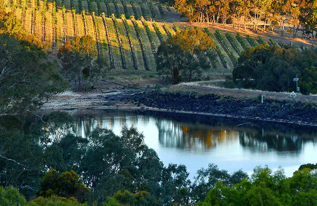 Penfolds domaine