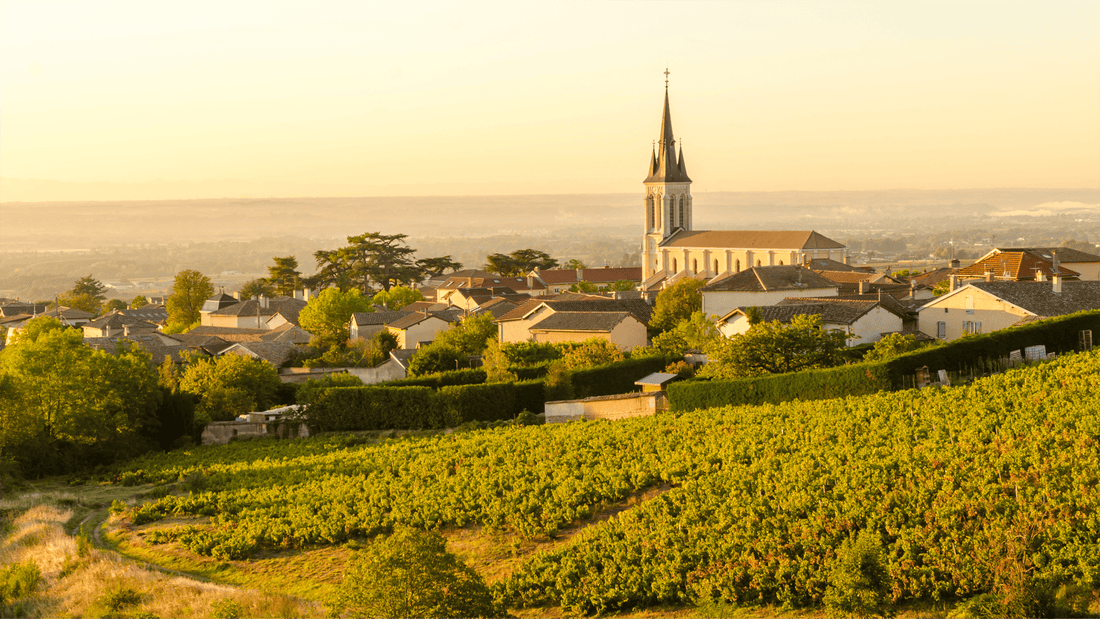 Beaujolais