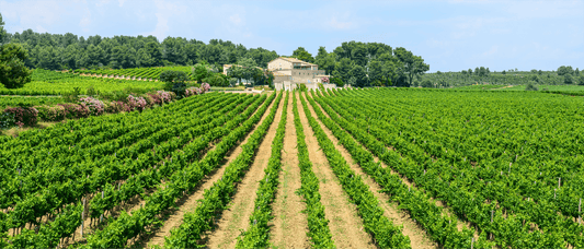 Languedoc Roussillon