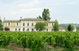 Château Grand Corbin-Despagne