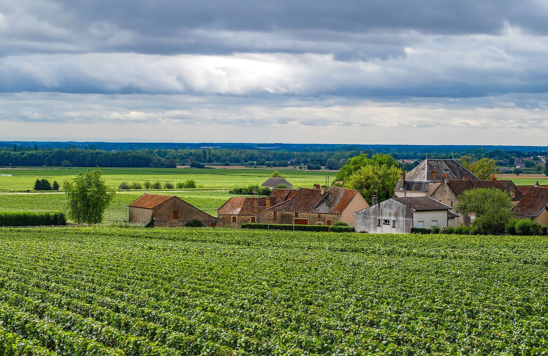 Domaine Chavy-Chouet