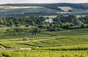 Champagner Bruno Paillard