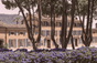 Schloss Esclans