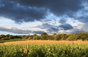 Weingut Clos des Fées