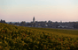 Henri Gouges Estate