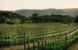 Joseph Phelps Vineyards - Vereinigte Staaten