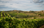 Antinori - Italien