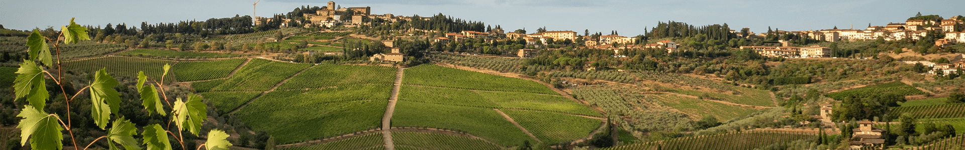 Gaja - Italie