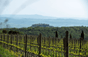 Poggio Antico - Italien