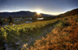 Maverick Wines – Australien