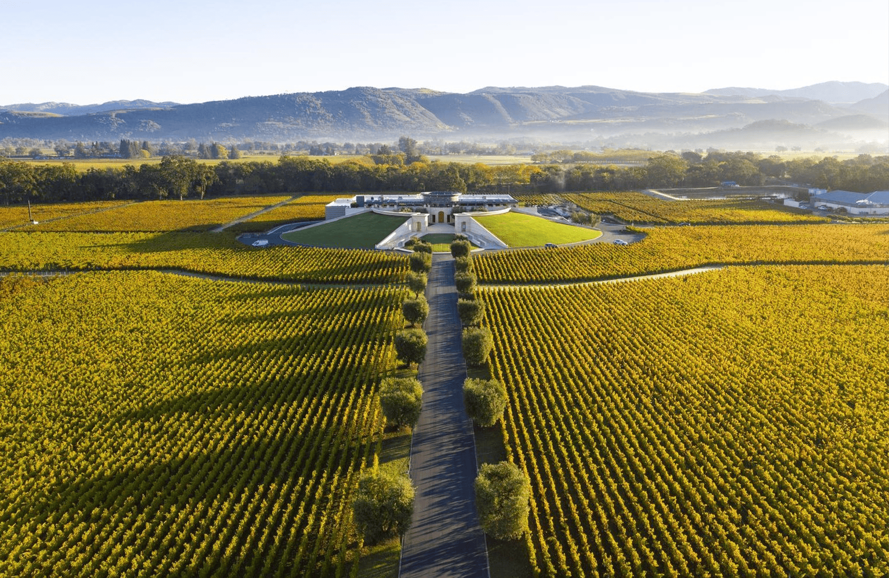 Opus One