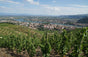 Yann Chave Estate