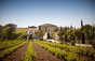 Schloss Beaucastel