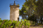 Der Clos du Caillou