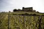 Weingut Vienne