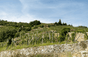 Alain Voge Estate