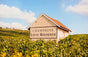 Champagner Louis Roederer