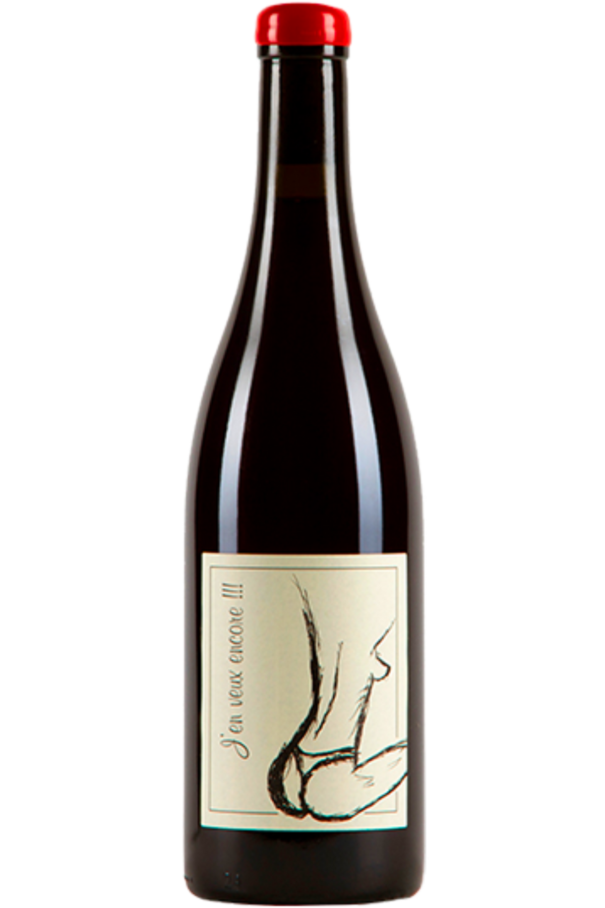 Domaine Anne et Jean-François Ganevat - Vin de France J'en veux encore 2023