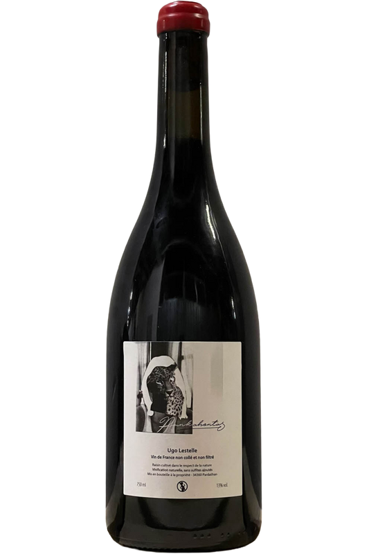 Domaine Ugo Lestelle - Vin de France Punkahontas 2021