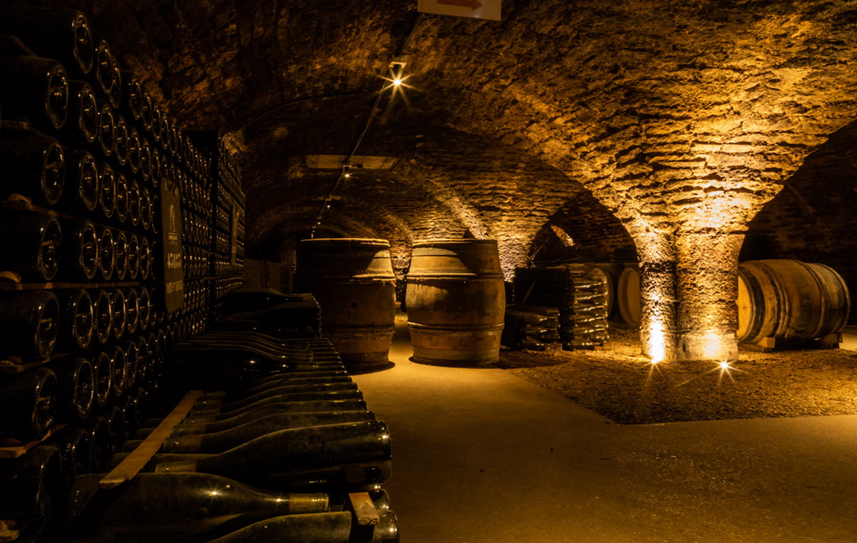 Cave à vins