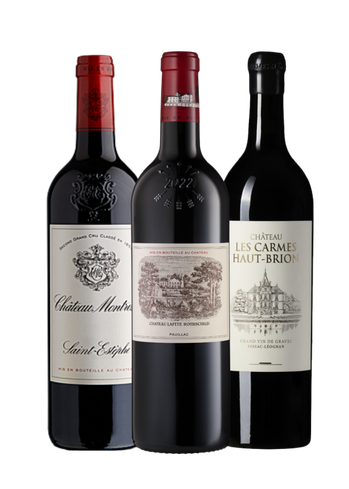 Rive Gauche Magnum 100/100 Primeur 2025