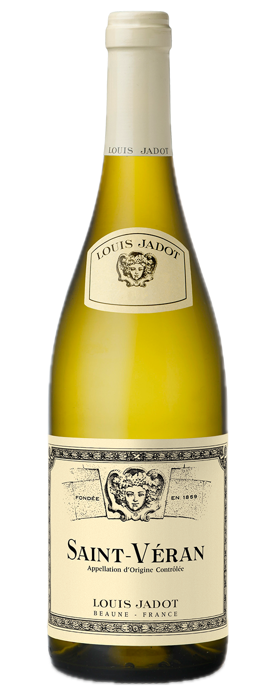 louis Jadot