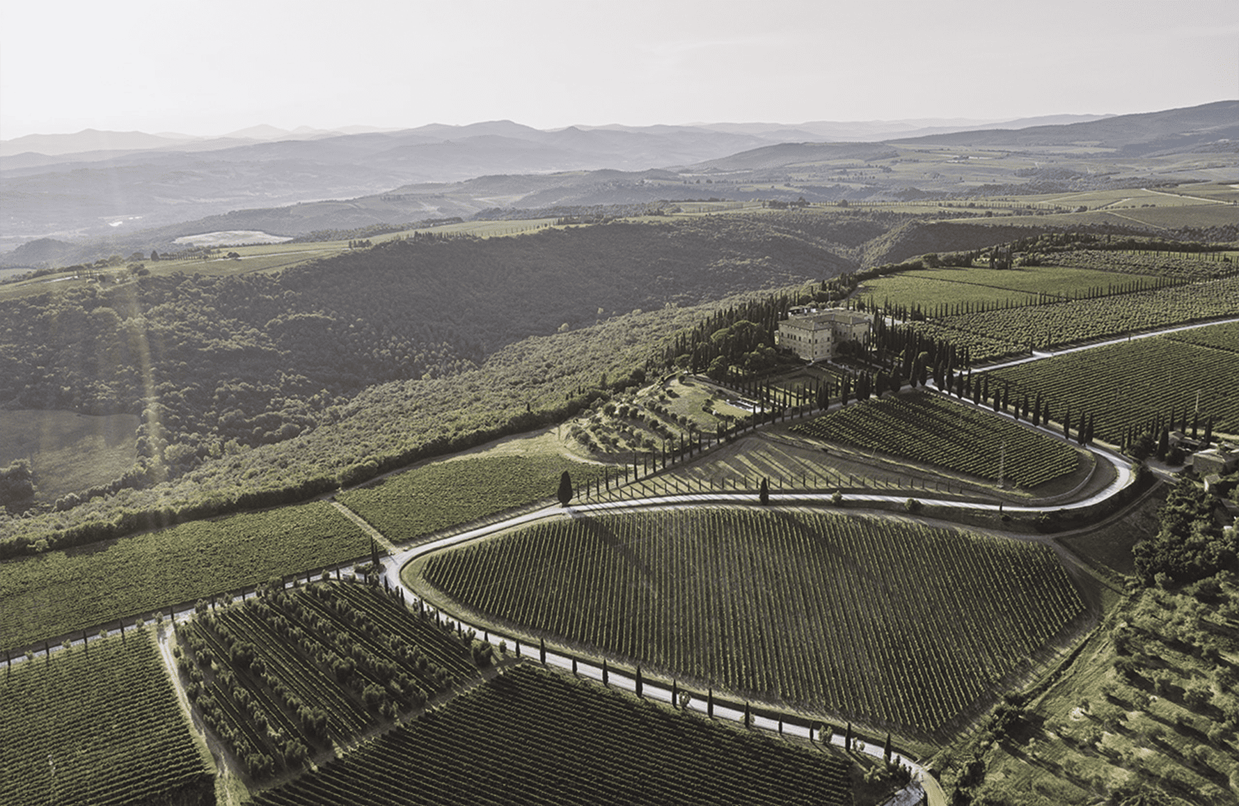 die Geschichte der Argiano - Italien