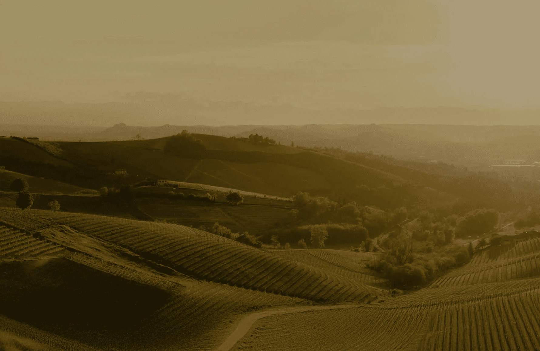 die Geschichte der Cascina delle Rose - Italien