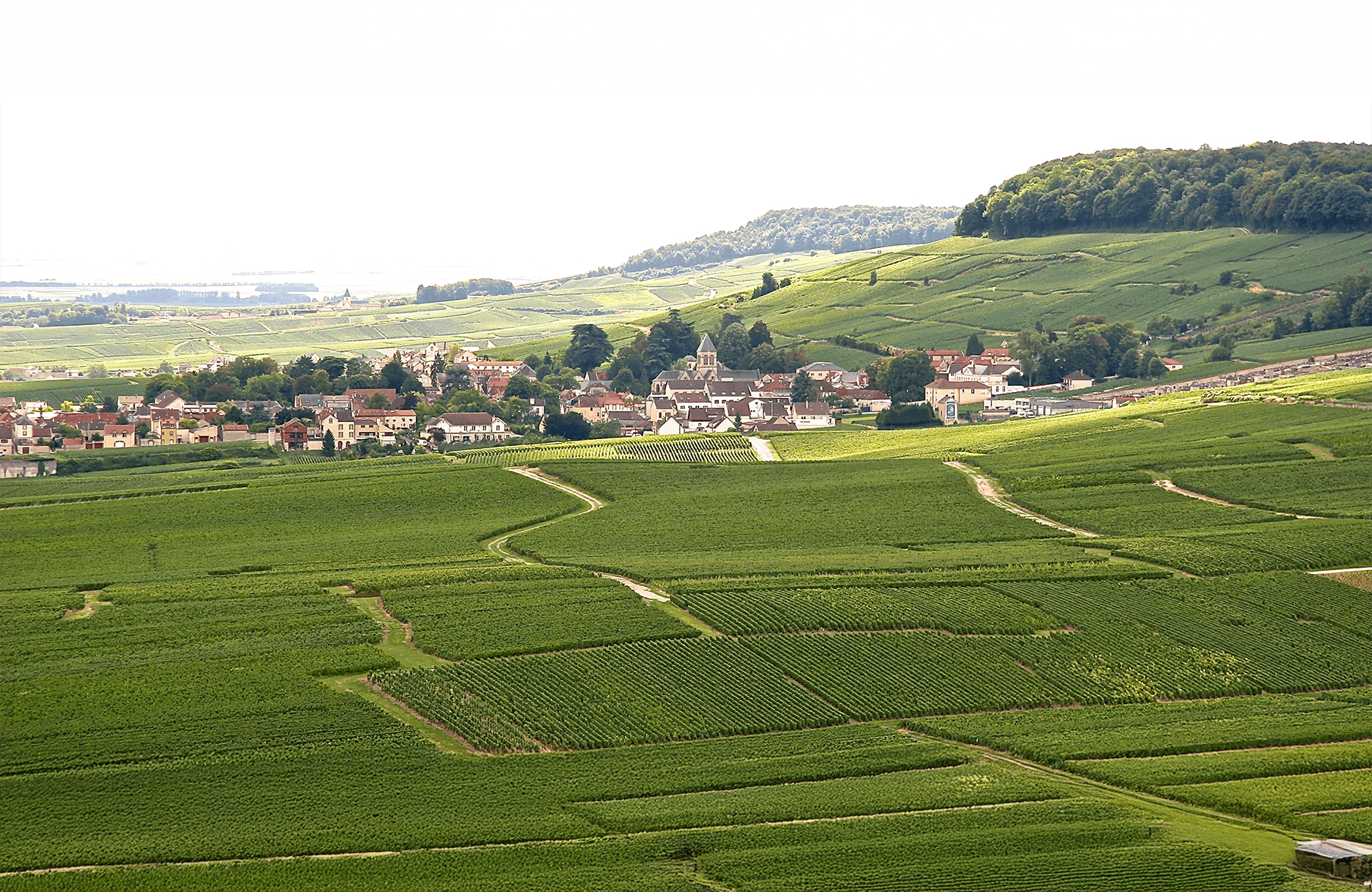 die Geschichte der Champagner De Sousa