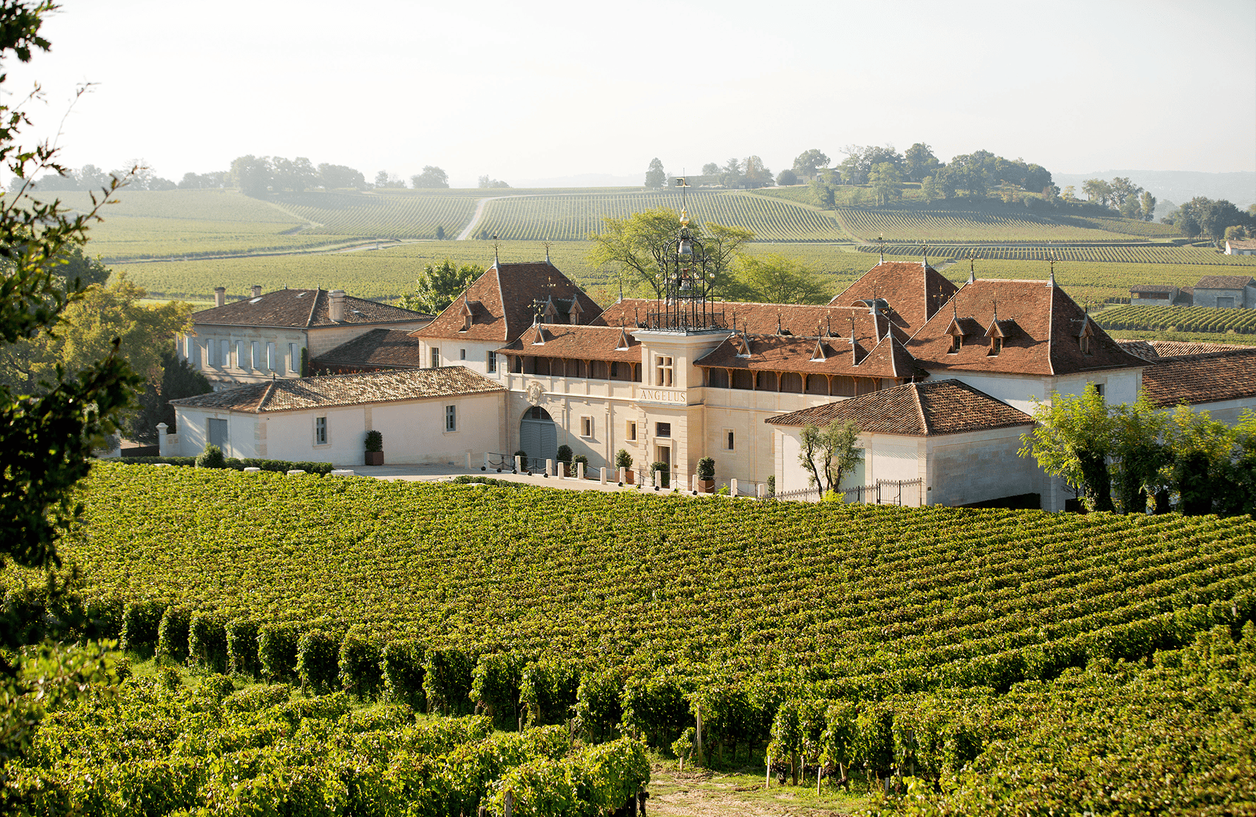die Geschichte der Angelus Castle
