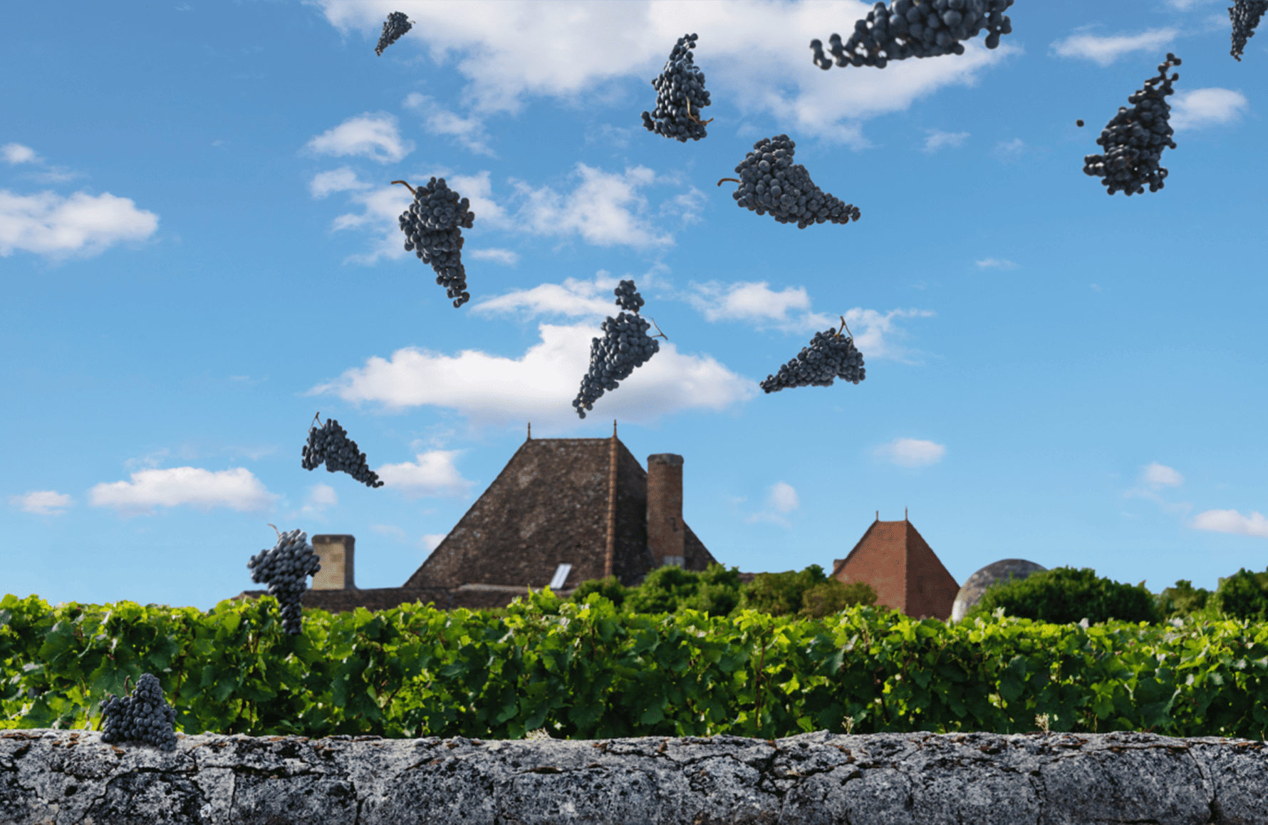 die Geschichte der Château Bélair-Monange