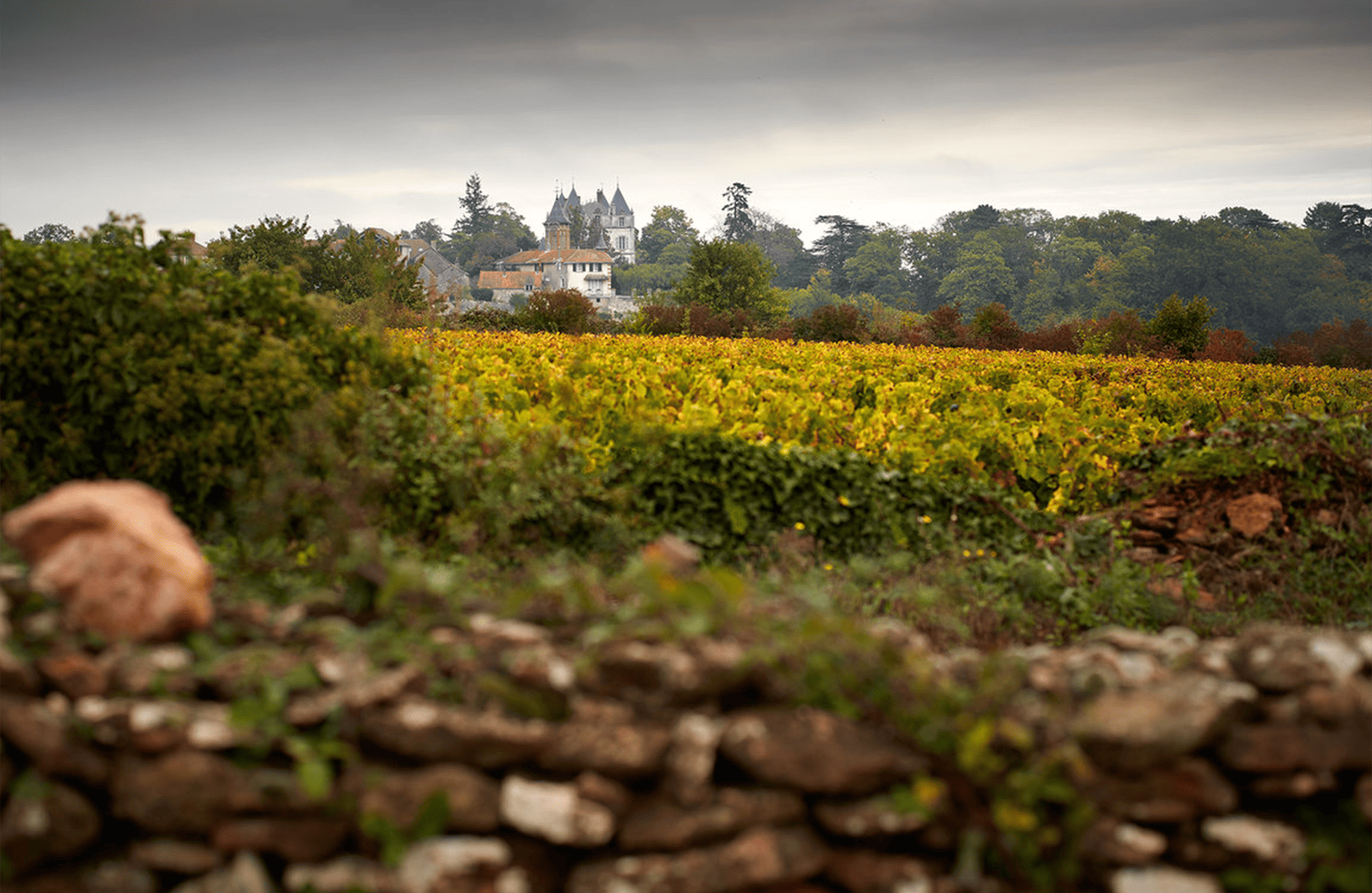 l’histoire du Château de Chamirey