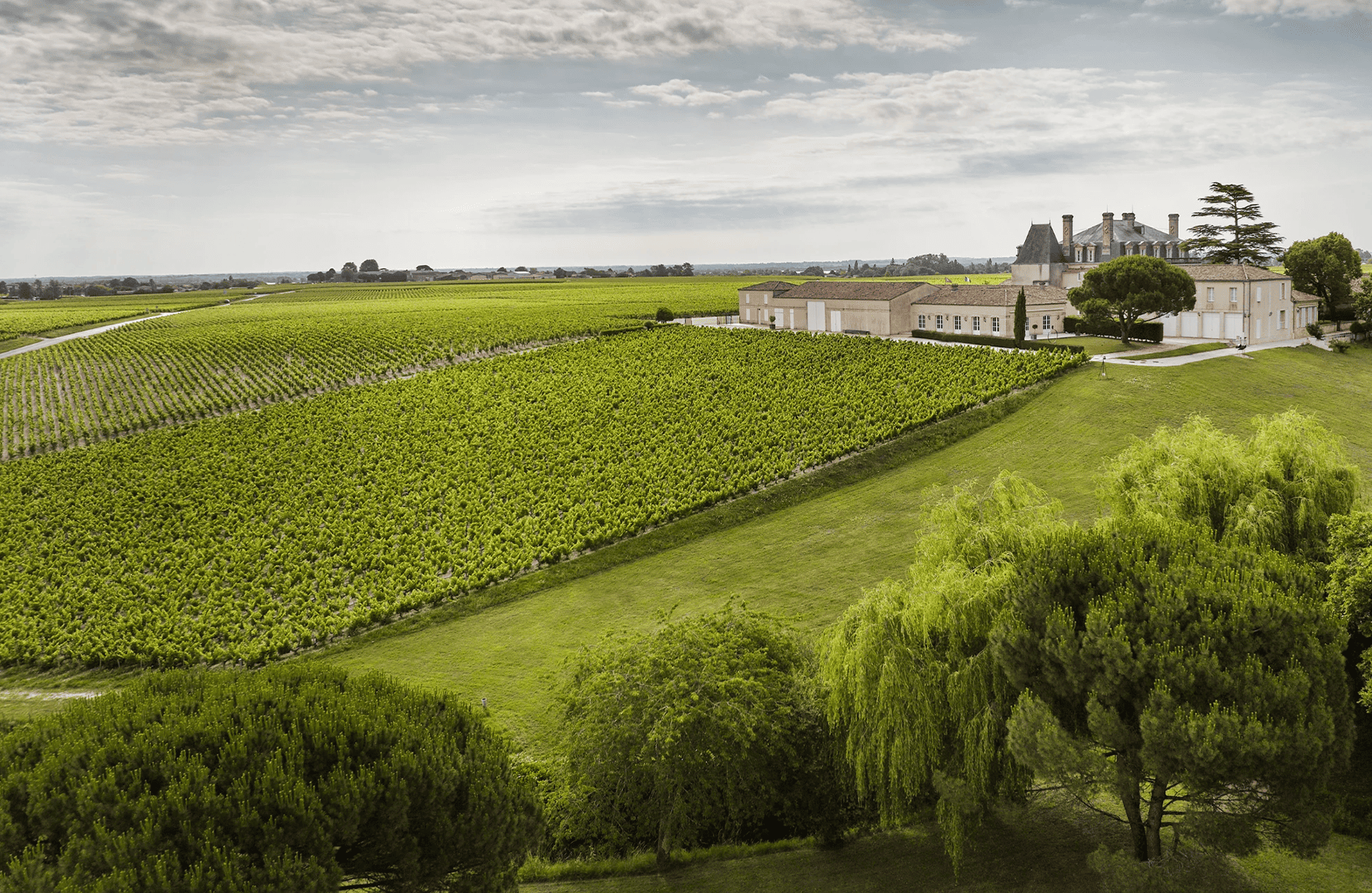 die Geschichte der Château Grand-Puy-Lacoste