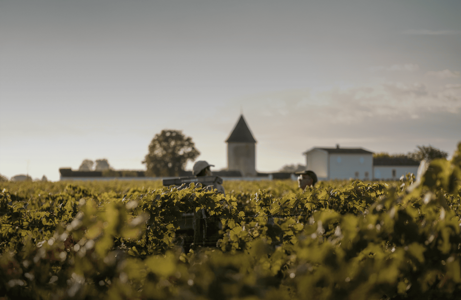 die Geschichte der Schloss La Lagune