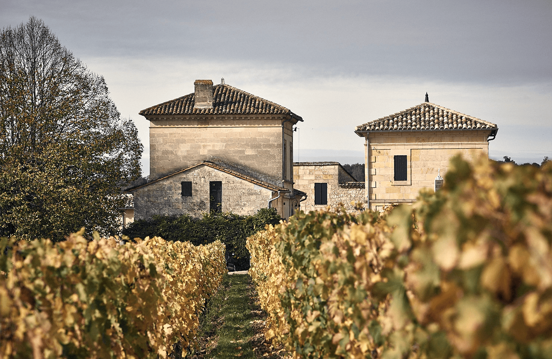 die Geschichte der Château Larcis Ducasse