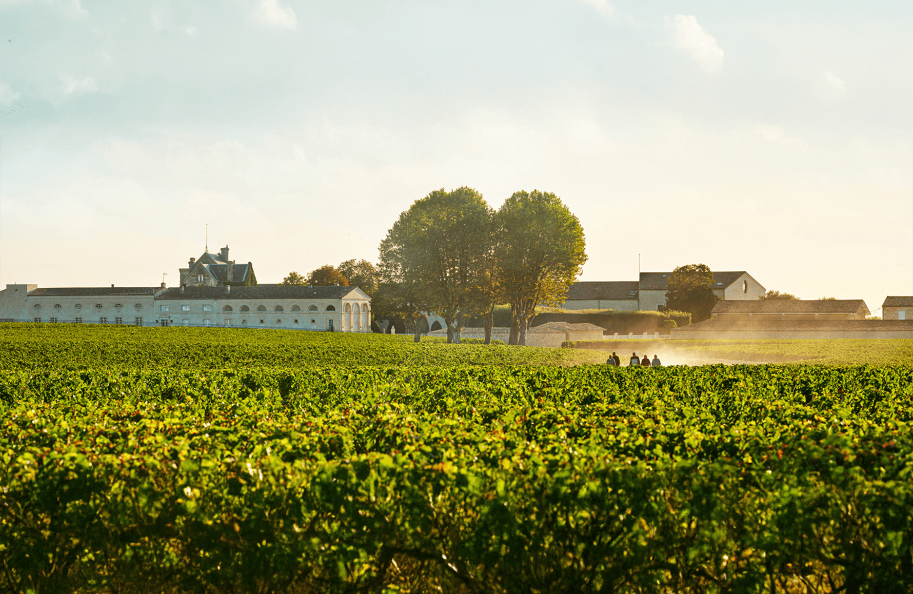 die Geschichte der Château Mouton Rothschild